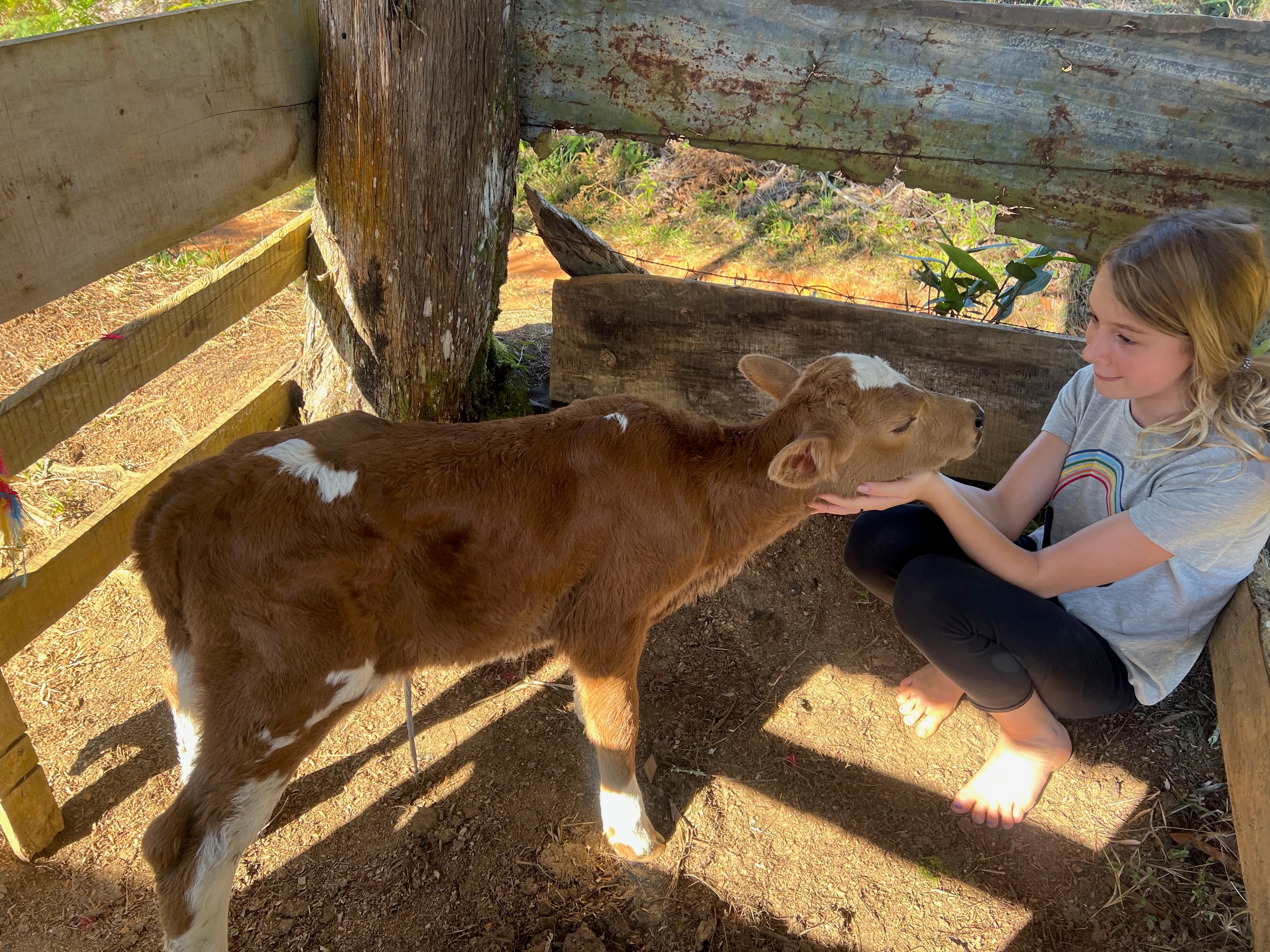 Carnes — beef and land stewardship