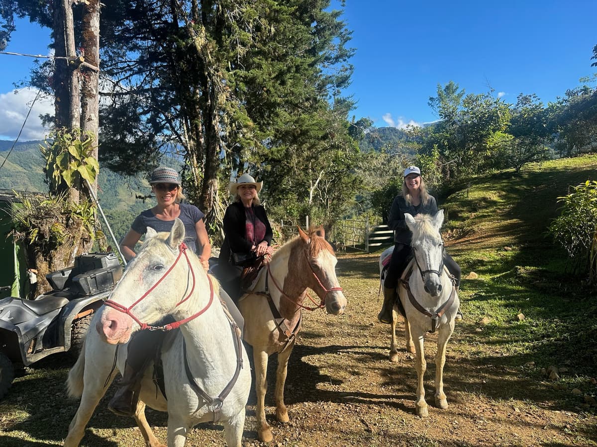 Caballos — horses and riding