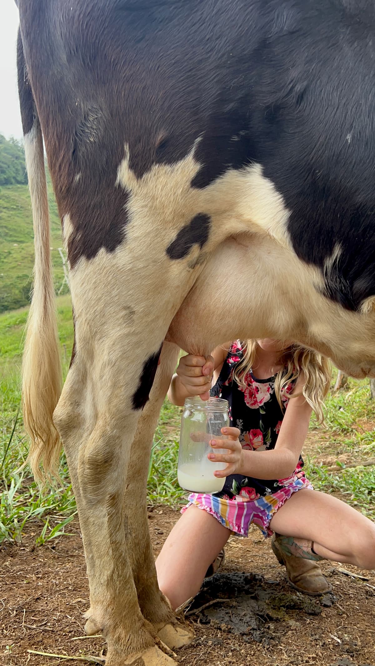 Ranch gallery image 1