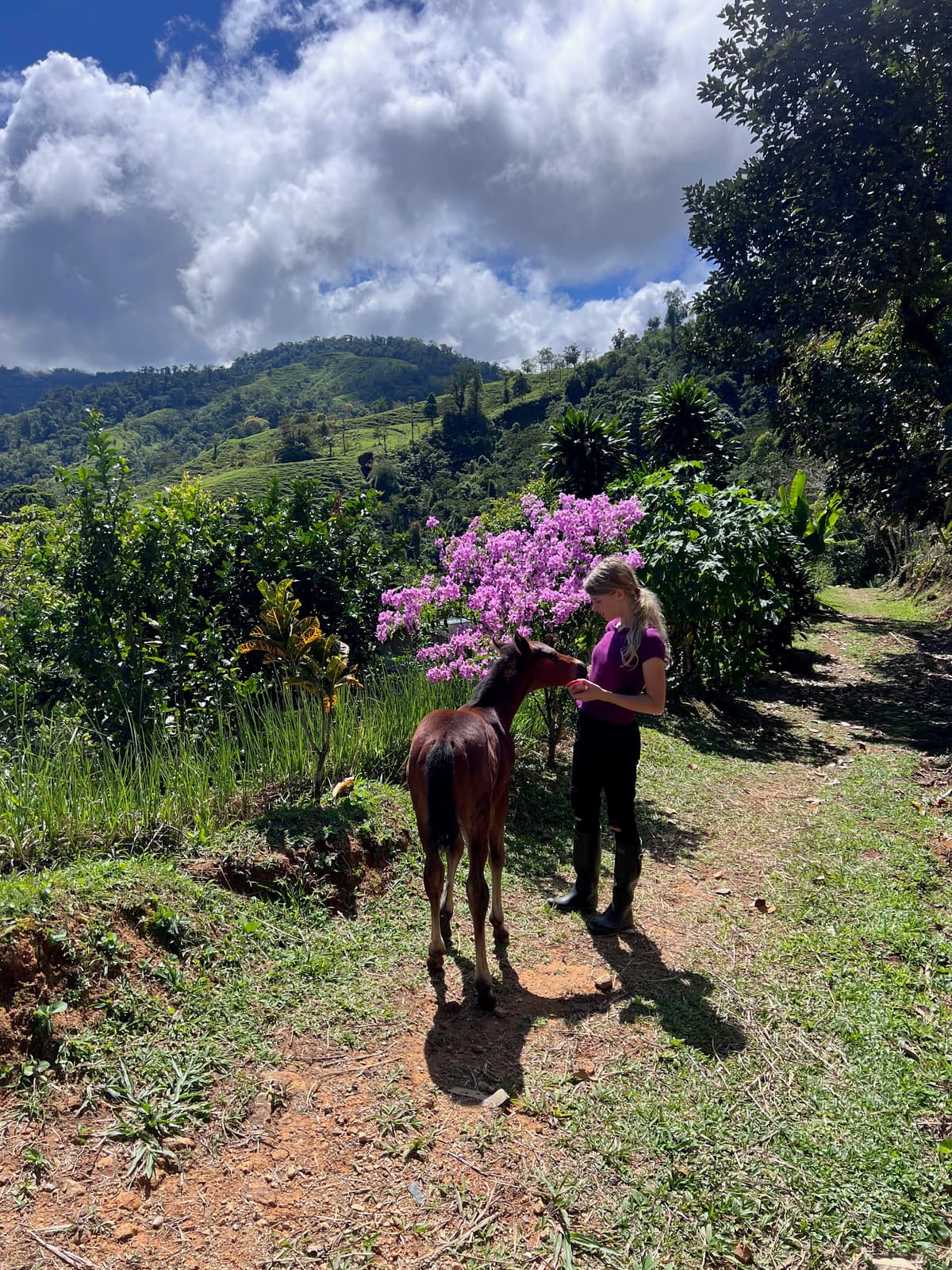 Ranch gallery image 3