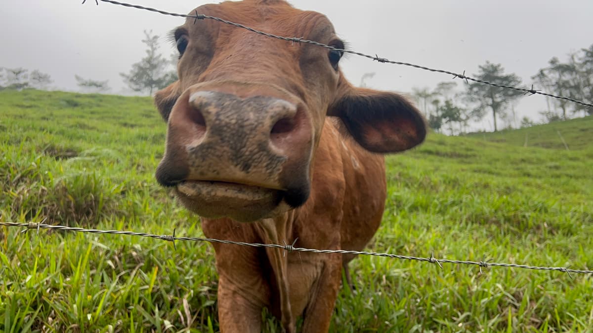 Ranch gallery image 4